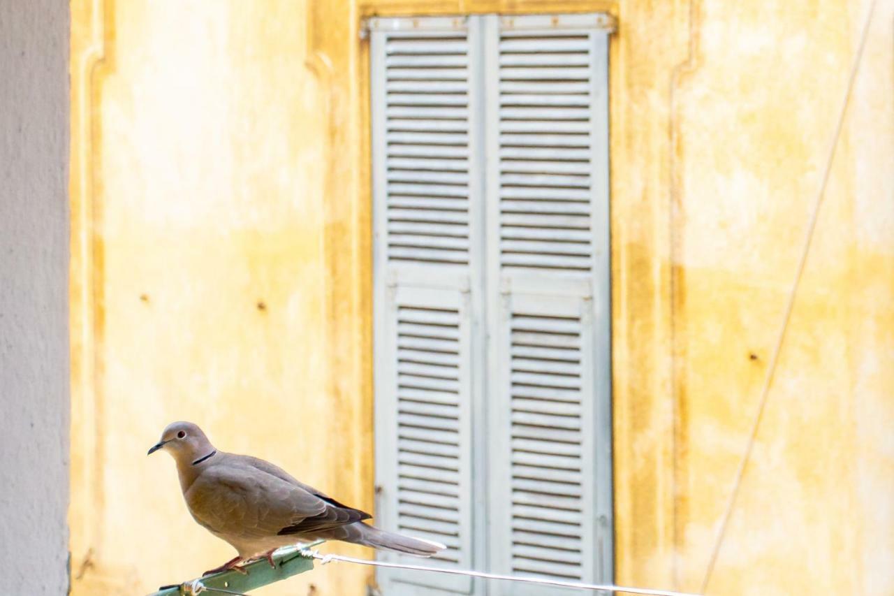26 Nice Vieux Nice Exterior photo